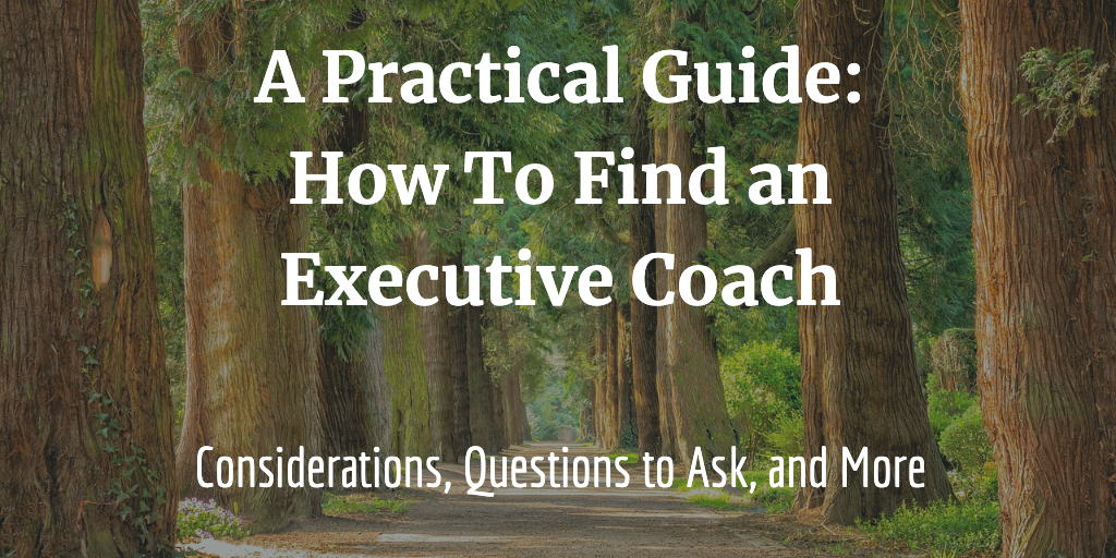 A Practical Guide How To Find An Executive Coach Part 3 Ada Chen Rekhi